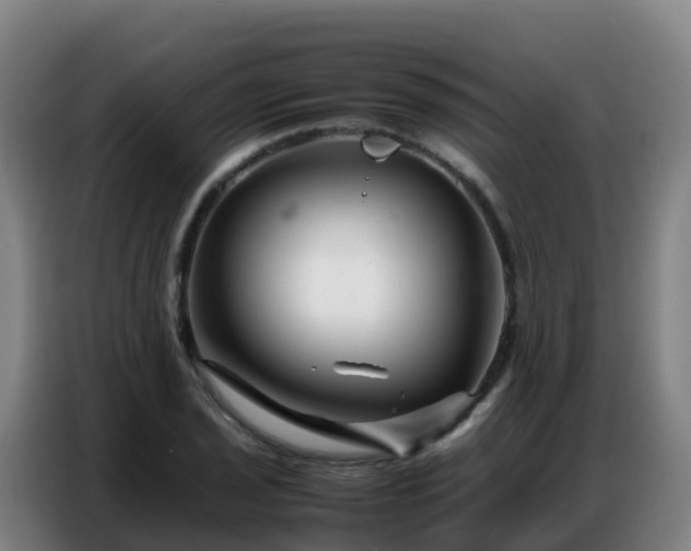 X0000086741029200704201701
