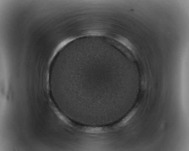 X0000086741030200704201701