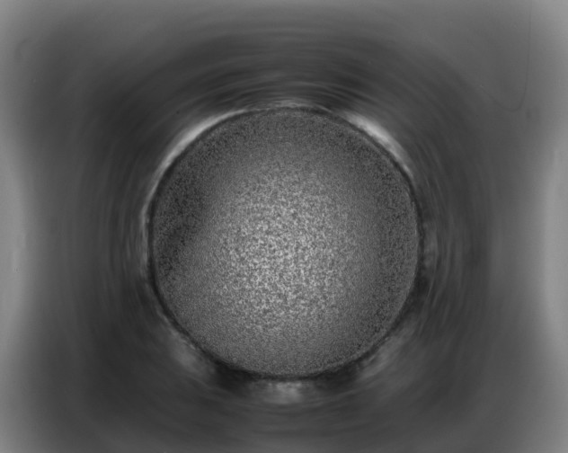 X0000086741031200704201702