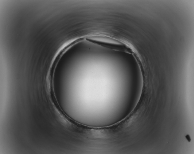 X0000086741032200704201702
