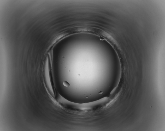 X0000086741033200704201702
