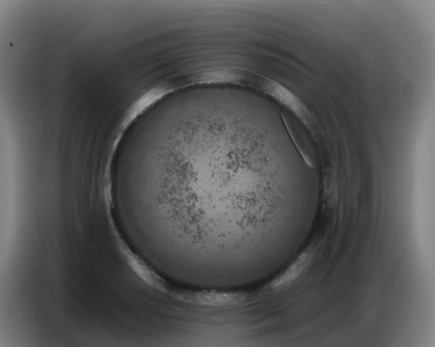 X0000086741034200704201702