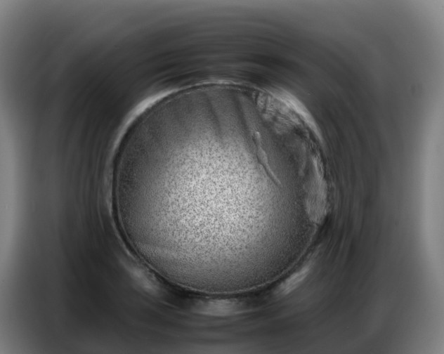 X0000086741035200704201702