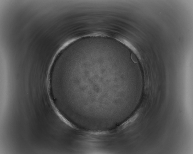 X0000086741037200704201702