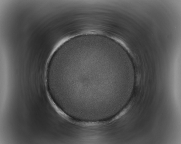 X0000086741038200704201702