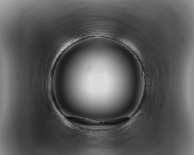 X0000086741040200704201702