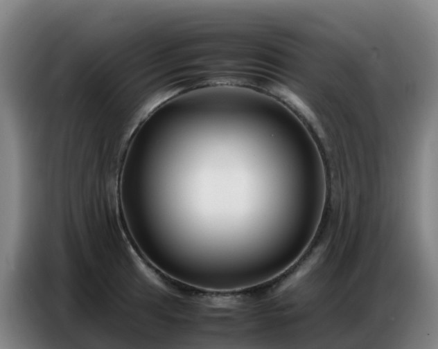 X0000086741041200704201702