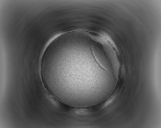X0000086741043200704201702