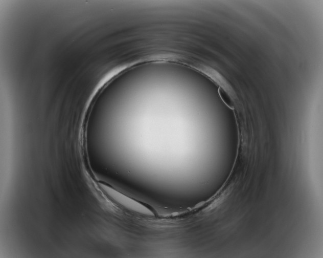 X0000086741044200704201702