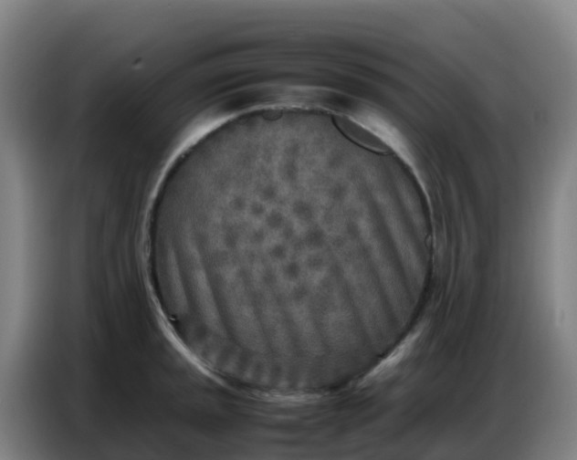 X0000086741045200704201702