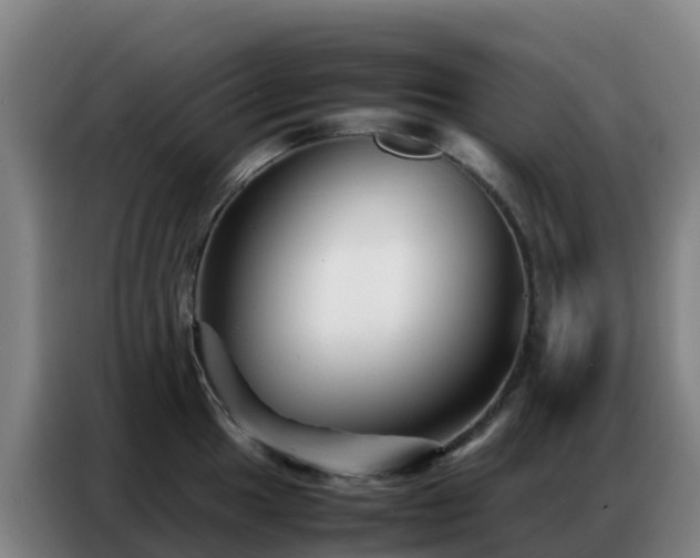 X0000086741049200704201702