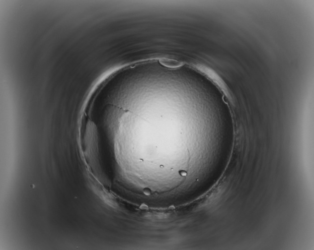 X0000086741051200704201702