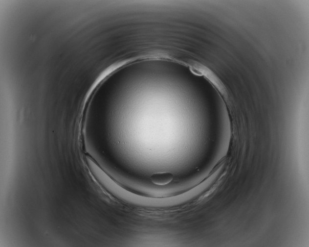 X0000086741052200704201702