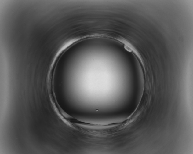 X0000086741053200704201702