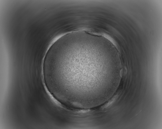 X0000086741055200704201702