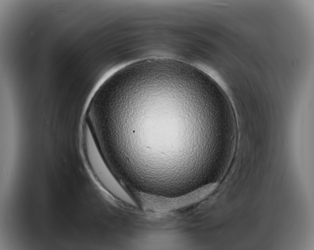 X0000086741056200704201702