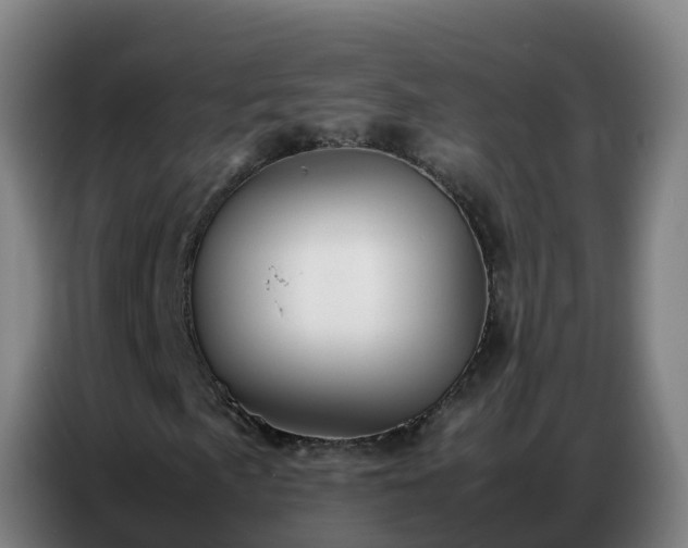 X0000086741057200704201701