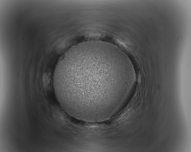 X0000086741059200704201701