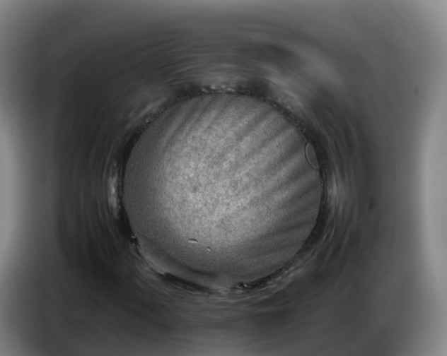 X0000086741060200704201701