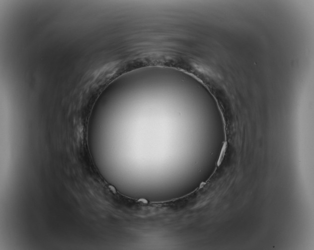 X0000086741061200704201701