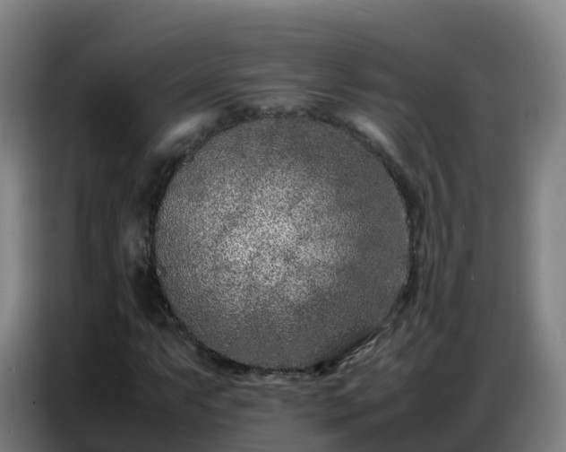 X0000086741063200704201701