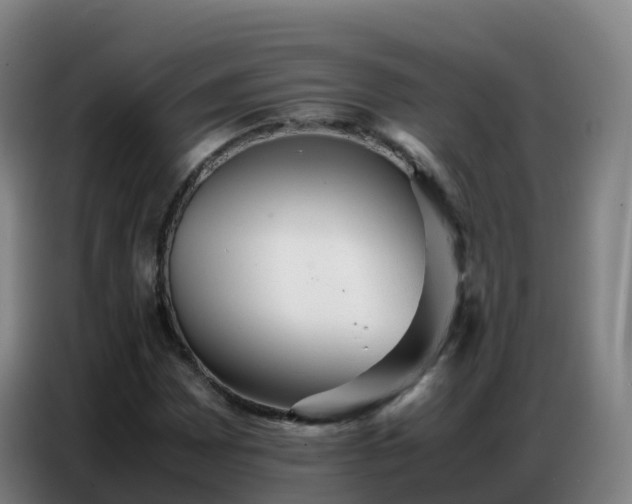 X0000086741065200704201701