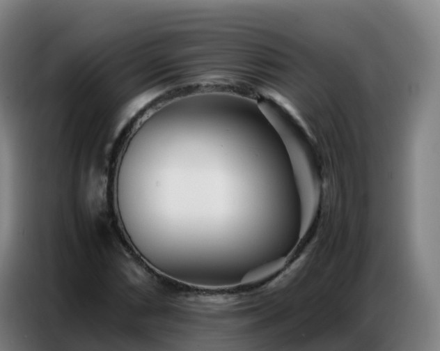 X0000086741066200704201701