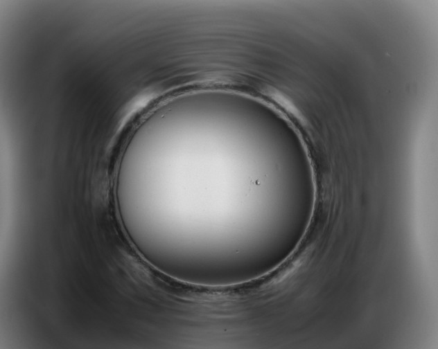 X0000086741067200704201701