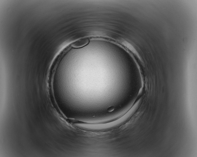 X0000086741068200704201701