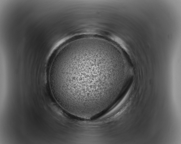 X0000086741069200704201701