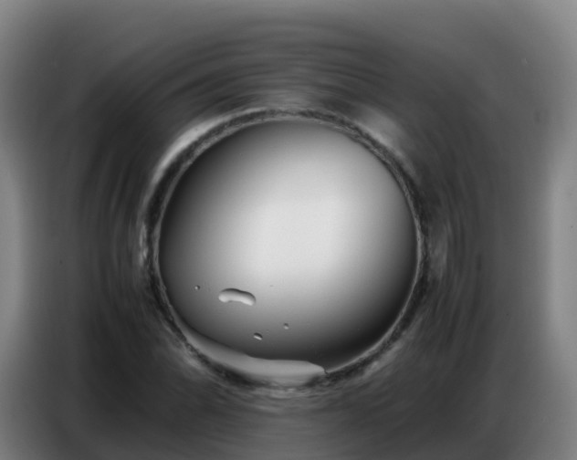 X0000086741070200704201701