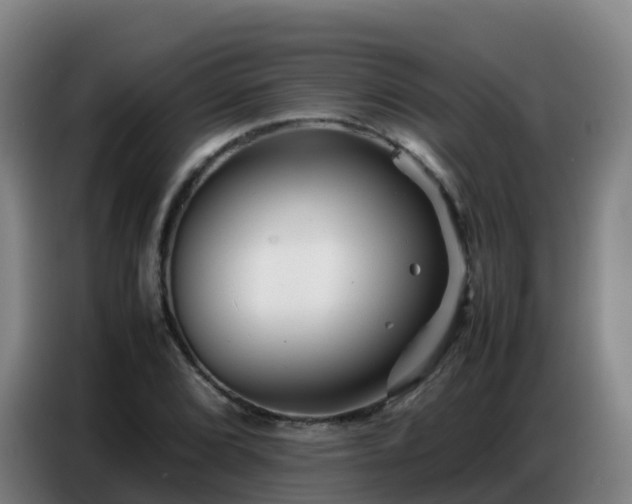 X0000086741072200704201701