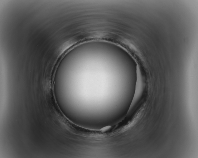 X0000086741073200704201701