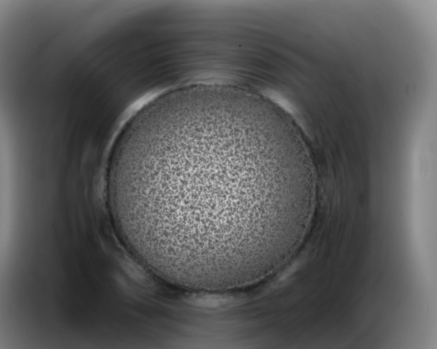 X0000086741074200704201701