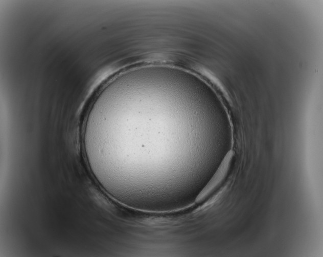 X0000086741075200704201701