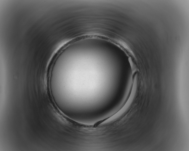 X0000086741076200704201701