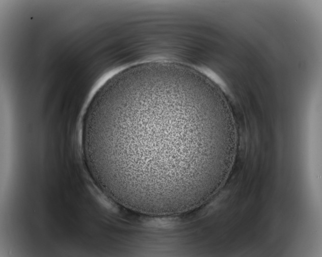 X0000086741078200704201701