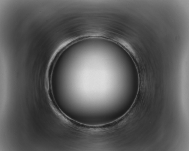 X0000086741080200704201701