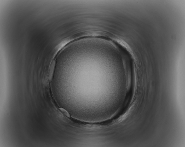 X0000086741081200704201701