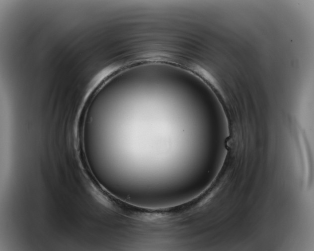 X0000086741082200704201701