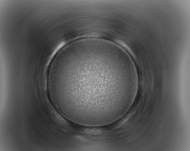 X0000086741083200704201701
