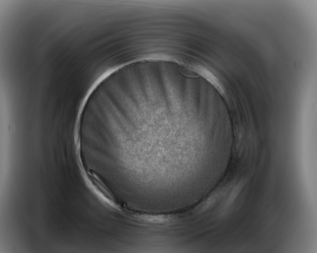 X0000086741084200704201701
