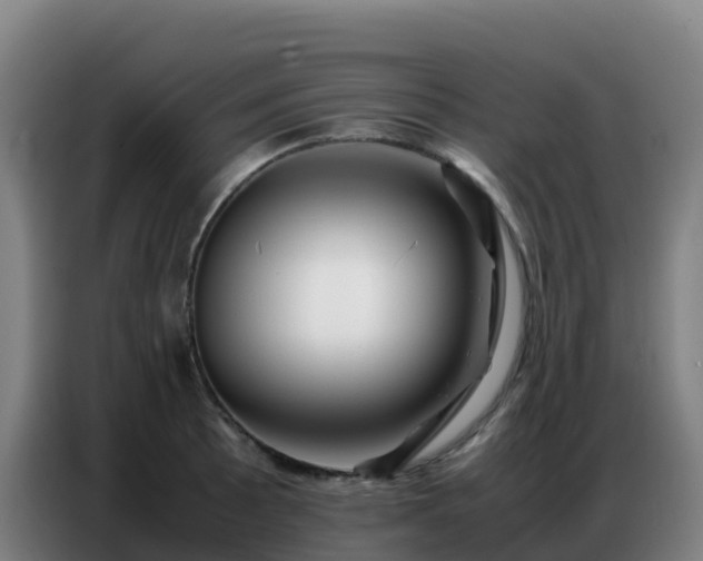 X0000086741089200704201701