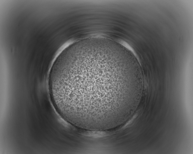 X0000086741090200704201701