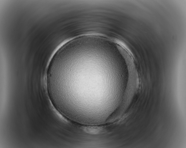 X0000086741092200704201701