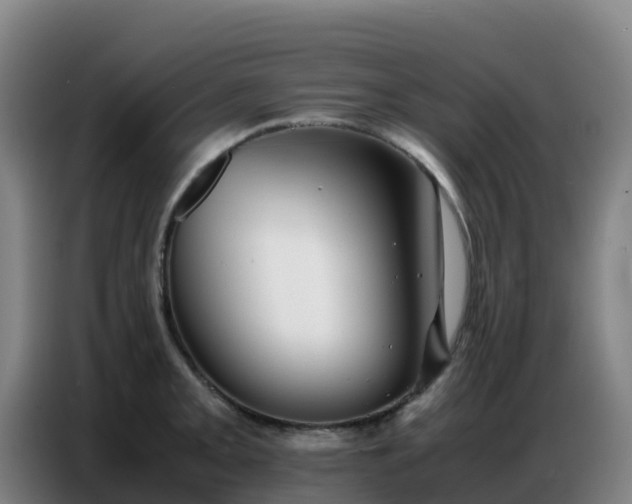 X0000086741093200704201701
