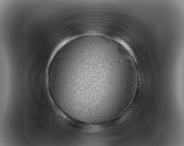 X0000086741096200704201701