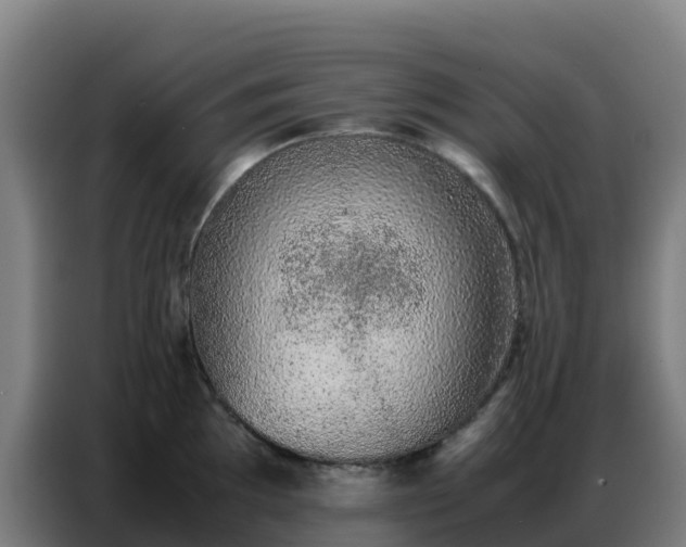 X0000086741097200704201701