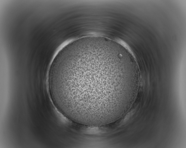 X0000086741098200704201701