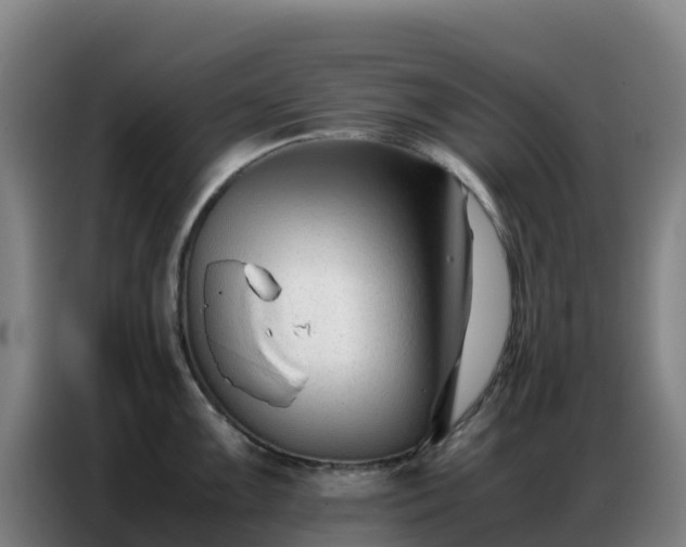 X0000086741099200704201701